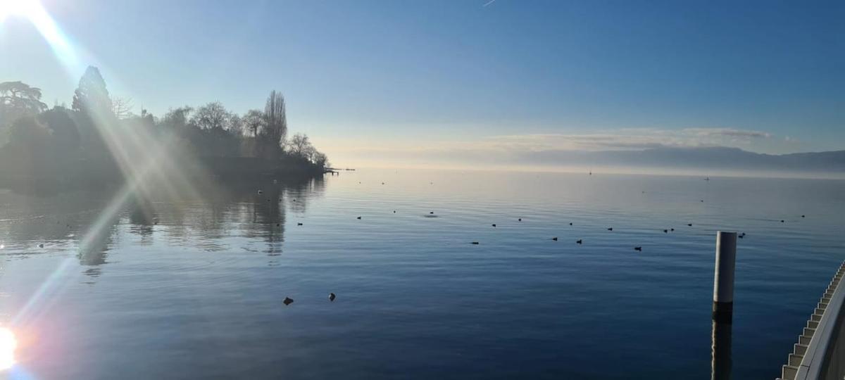 Le Bacchus Leilighet Thonon-les-Bains Eksteriør bilde